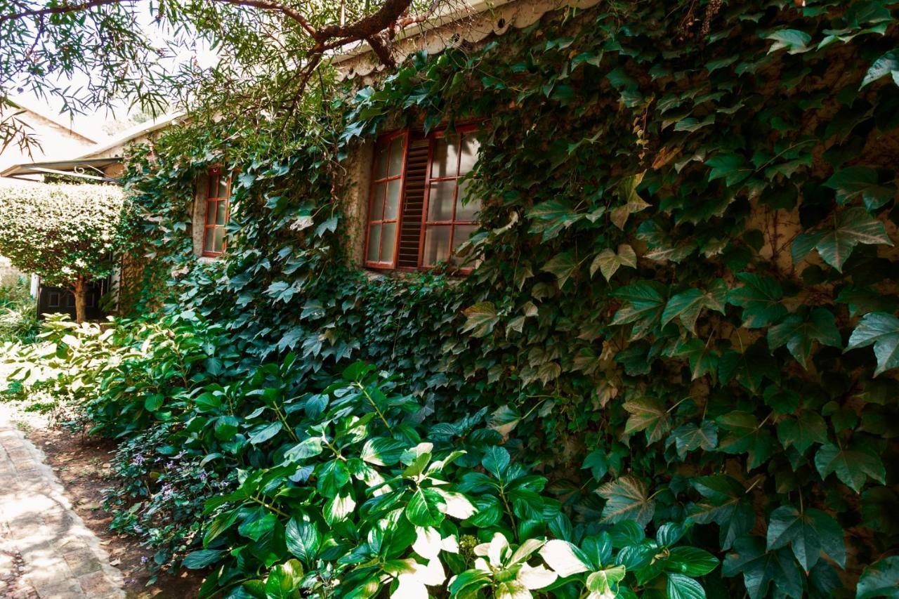 Town And Country Mpumalanga Hotel Middelburg  Kültér fotó
